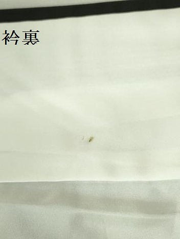 平和屋着物●上質な紬　横段花文　黒地　正絹　逸品　未使用　DAAX1248op