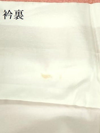 平和屋着物●訪問着　枝花文　暈し染め　金銀彩　正絹　逸品　DAAX1369op