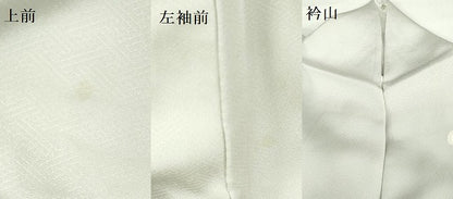平和屋着物●京友禅の第一人者 松井青々 訪問着 短冊舞蝶花文 松竹梅 暈し染め 金彩 正絹 逸品 DAAX1504op