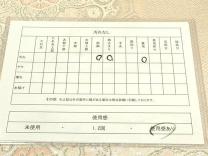 平和屋着物◎六通柄袋帯 王朝華紋 オーロラ箔 銀糸 正絹 逸品 DAAX1613op