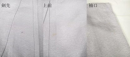 平和屋着物▽訪問着 単衣 作家物 花散道 奄美大島 長生繭 正絹 逸品 DAAX3025az