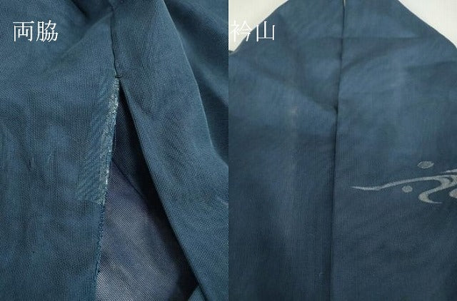 平和屋着物▽訪問着 無双 紗袷 紗×紗 地紙花鳥文 暈し染め 金彩 正絹 逸品 DAAX3105az
