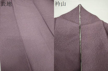 平和屋着物●上質な色無地 霞地紋 葡萄鼠色 正絹 逸品 DAAX4084ps