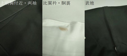 平和屋着物●豪華黒留袖　友禅　作家物　浜松文　千鳥　暈し染め　正絹　逸品　DAAX4269ps