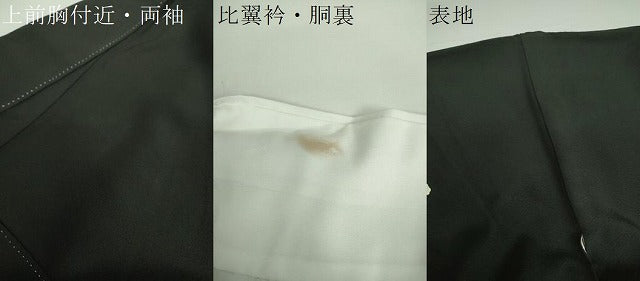 平和屋着物●豪華黒留袖　友禅　作家物　浜松文　千鳥　暈し染め　正絹　逸品　DAAX4269ps