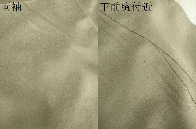平和屋着物●訪問着　南天文　暈し染め　金彩　正絹　逸品　DAAX4479ps