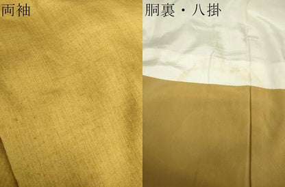 平和屋着物●訪問着　紬地　手描き　器物文様　正絹　逸品　DAAX4674ps
