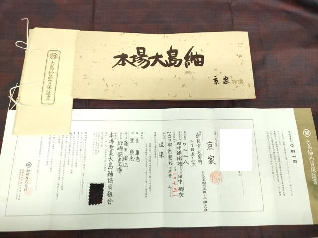 平和屋着物●本場大島紬 7マルキ 古代染色純泥染 鱗文 田中絹織物謹製 加納別誂 証明書・証紙付き 正絹 逸品 DAAX4719ps