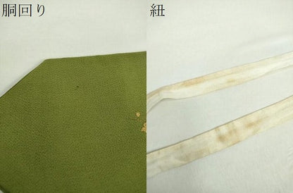 平和屋着物●つけ帯　手描き　枝花文　鬼しぼ縮緬　金彩　正絹　逸品　DAAX4823ps