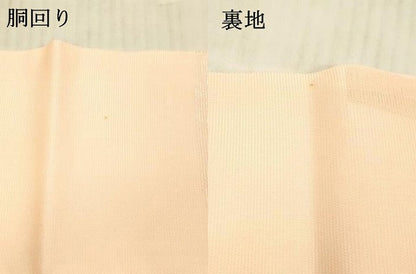 平和屋着物＊夏物 九寸名古屋帯 草花文 金銀糸 正絹 逸品 DAAX5543cm