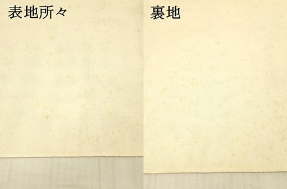 平和屋着物＊夏物 太鼓柄袋帯 草花文 金銀糸 正絹 逸品 DAAX5589cm