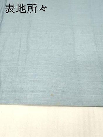 平和屋着物＊夏物 絹芭蕉 太鼓柄袋帯 草葉文 蛍 銀糸 正絹 逸品 DAAX5701cm