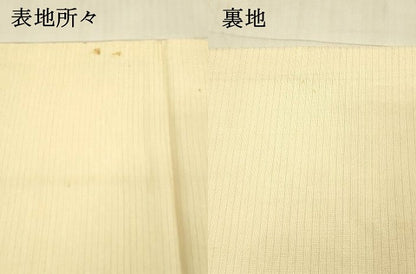 平和屋着物＊夏物 アンティーク 大正ロマン 六通柄袋帯 風景草花文 金銀糸 正絹 逸品 DAAX5933cm