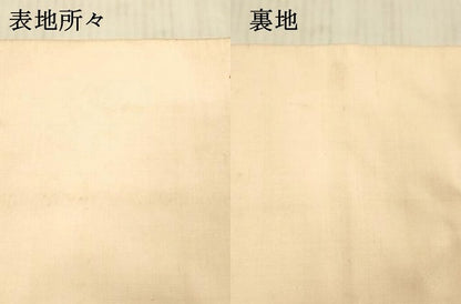 平和屋着物●爪掻き本綴れ　六通柄袋帯　向かい鳥花唐草文　金銀糸　正絹　逸品　DAAX5994cm