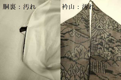 平和屋着物■上質な紬　風景文　正絹　逸品　DAAX8390du