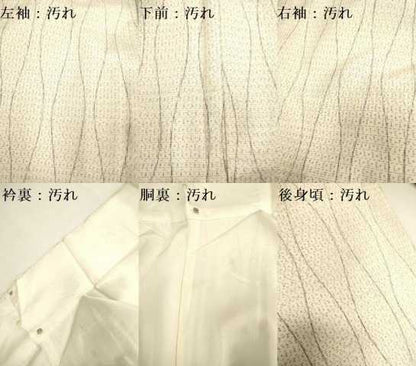 平和屋着物■上質な紬 立涌文 正絹 逸品 DAAX8491du