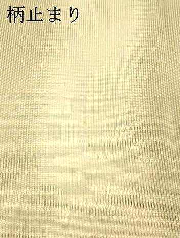 平和屋着物＊夏物 六通柄袋帯 荒磯 金銀糸 正絹 逸品 DAAX8998cm