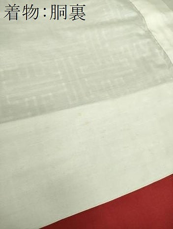平和屋着物●本場大島紬 龍郷絣 秋名バラ アンサンブル 正絹 逸品 未使用 DAAY1959ps