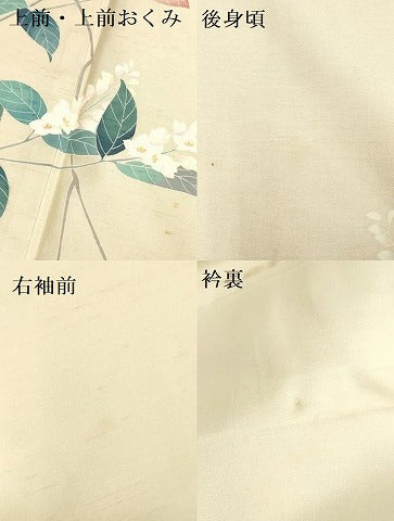平和屋着物●訪問着　紬地　作家物　草花　正絹　逸品　DAAY2472op