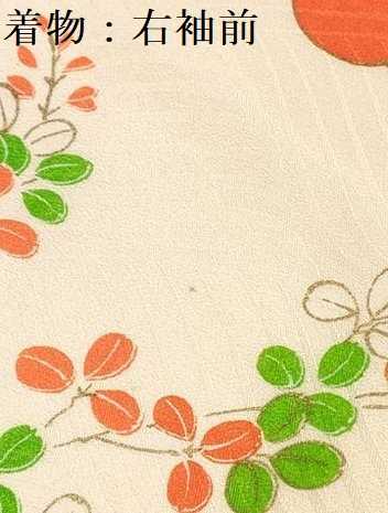平和屋着物[]お宮参り　女の子　祝着　産着　初着　のしめ　駒刺繍　孔雀花文　金彩　逸品　DAAY3183ma