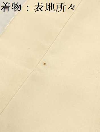 平和屋着物[]お宮参り　男の子　祝着　産着　初着　のしめ　鷹　鷲　松文　金彩　逸品　DAAY3190ma