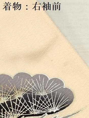 平和屋着物[]お宮参り　男の子　祝着　産着　初着　のしめ　鷹　鷲　笹松文　金銀彩　逸品　DAAY3210ma