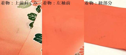 平和屋着物[]お宮参り　女の子　祝着　産着　初着　のしめ　花籠文　暈し染め　逸品　DAAY3214ma