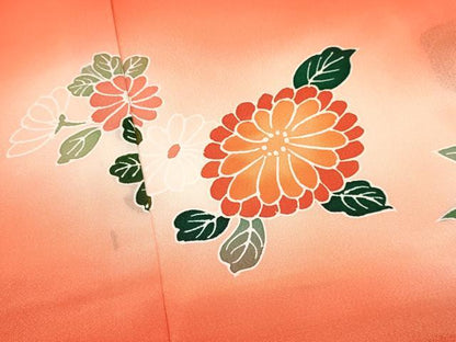 平和屋着物[]お宮参り　女の子　祝着　産着　初着　のしめ　花籠文　暈し染め　逸品　DAAY3214ma