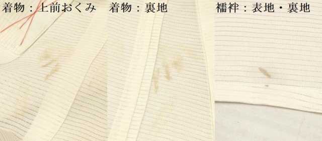 平和屋着物＊夏物　お宮参り　女の子　祝着　産着　初着　のしめ　絽　駒刺繍　杜若　短冊花文　金銀彩　逸品　DAAY3412ma