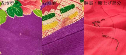 平和屋着物[]アンティーク　大正ロマン　お宮参り　女の子　祝着　産着　初着　のしめ　駒刺繍　檜扇花文　逸品　DAAY3420ma