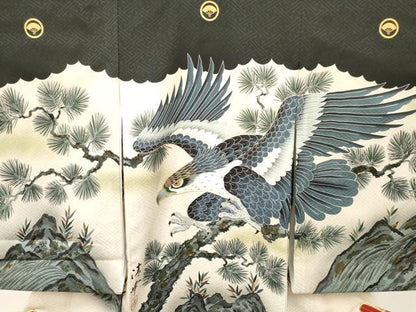 平和屋着物[]お宮参り　男の子　祝着　産着　初着　のしめ　作家物　刺繍　鷹　鷲　松文　暈し染め　金彩　逸品　DAAY3442ma