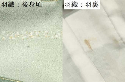 平和屋着物[]七五三　男の子　祝着・羽織・長襦袢(単衣)・行灯袴セット　鷹　鷲　松文　金彩　DAAY3464ma