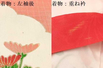 平和屋着物[]七五三　女の子　７歳　祝着　四つ身　長襦袢(単衣)セット　片輪車牡丹花文　暈し染め　金彩　DAAY3477ma