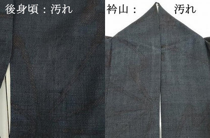 平和屋着物■上質な紬　舞花文　正絹　逸品　DAAY3753xg