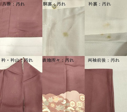 平和屋着物■豪華色留袖　作家物　雲重ね吉祥文　金彩　正絹　逸品　DAAY3924cd