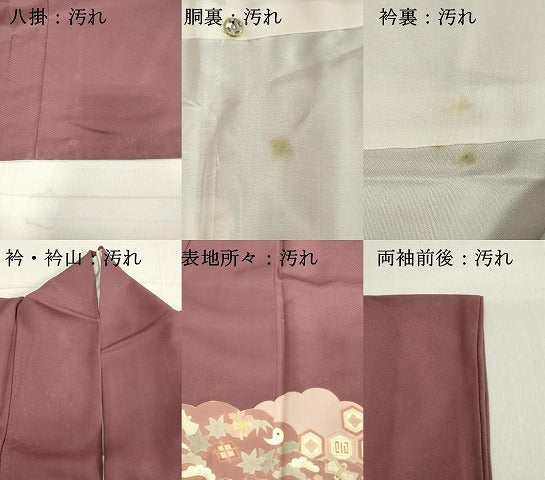 平和屋着物■豪華色留袖　作家物　雲重ね吉祥文　金彩　正絹　逸品　DAAY3924cd