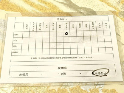 平和屋着物◎六通柄袋帯　風景文　金銀糸　正絹　逸品　DAAY4038jm
