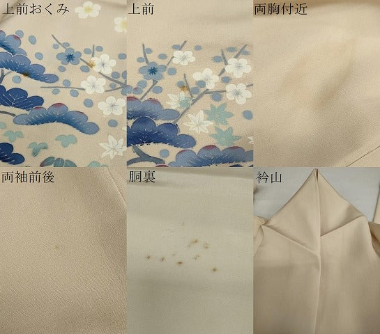 平和屋着物●本加賀友禅作家　金津五雄　色留袖　風景草花文　正絹　逸品　DAAY5031ud