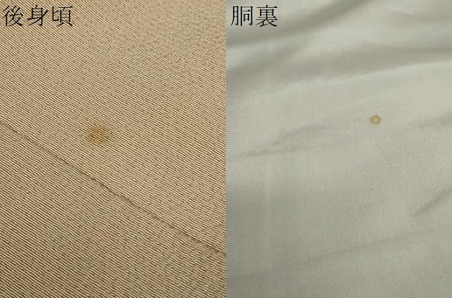 平和屋着物●訪問着　敷松葉草花文　金彩　正絹　逸品　DAAY5142ud
