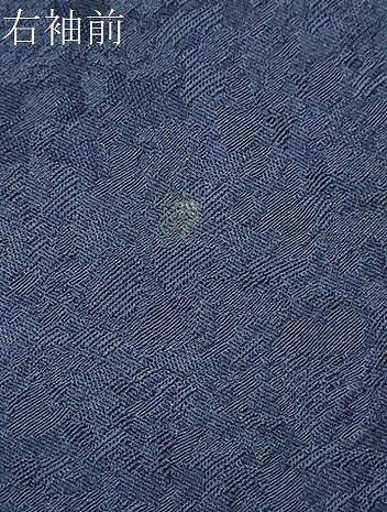 平和屋着物●上質な小紋 総刺繍 舞葉文 金銀糸 正絹 逸品 DAAY5146ud