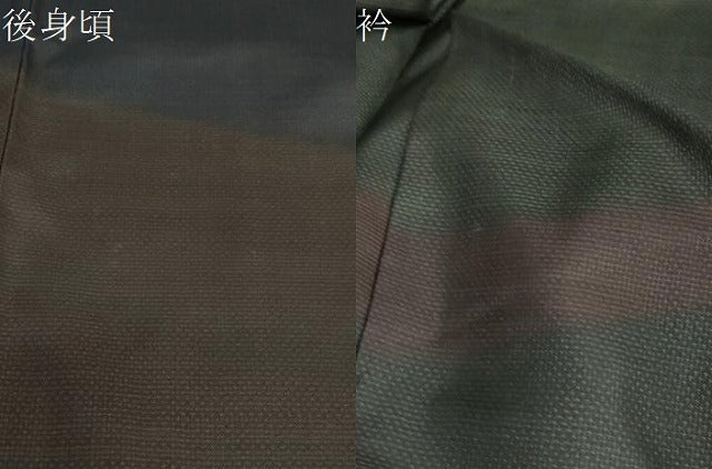 平和屋着物●本場大島紬　訪問着　横段文　正絹　逸品　DAAY5230ud