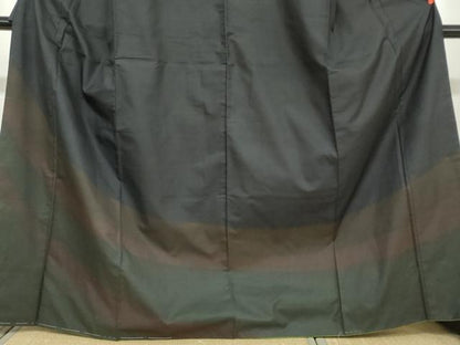 平和屋着物●本場大島紬　訪問着　横段文　正絹　逸品　DAAY5230ud