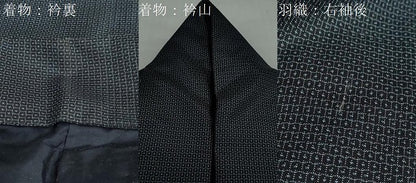 平和屋着物●男性　本場大島紬　アンサンブル　100亀甲　総詰め　正絹　逸品　DAAY5260ud