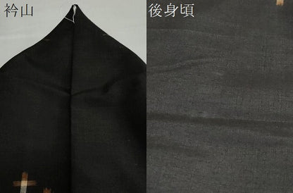 平和屋着物●上質な紬 花蝶文 黒地 正絹 逸品 DAAY5280ud
