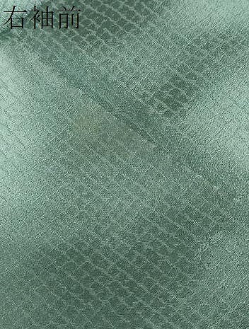 平和屋着物●訪問着　刺繍　立波草花文　暈し染め　金銀彩　正絹　逸品　DAAY5299ud