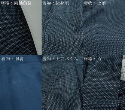 平和屋着物●男性 本場大島紬 アンサンブル 100亀甲 総詰め 正絹 逸品 DAAY5423ud