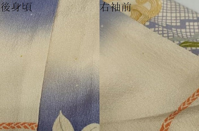 平和屋着物●アンティーク 大正ロマン 小振袖 立波草花文 正絹 逸品 DAAY5442ud
