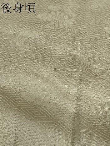 平和屋着物●訪問着 草花文 暈し染め 金彩 ますいわ屋扱い 正絹 逸品 DAAY5637ud