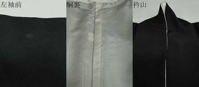平和屋着物●本加賀友禅作家 池田裕 黒留袖 飛鶴風景草花文 暈し染め 正絹 逸品 DAAY5804ud