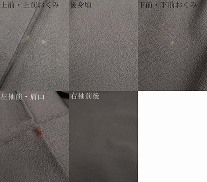 平和屋着物●色留訪問着 草花文 金彩 正絹 逸品 未使用 DAAY5836ud